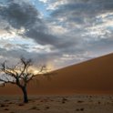 NAM HAR Dune45 2016NOV21 033 : 2016 - African Adventures, Hardap, Namibia, Southern, Africa, Dune 45, 2016, November